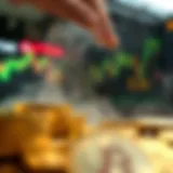 Conceptual representation of hype in the cryptocurrency market